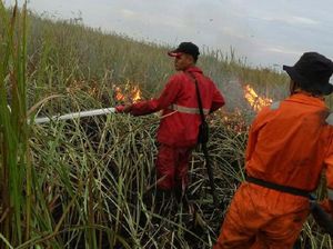 Berjibaku Padamkan Api di Kebakaran Hutan Ogan Ilir