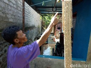 Ulat Bulu Serang Rumah Warga di Banyuwangi Ulat Bulu Serang Rumah Warga di Banyuwangi