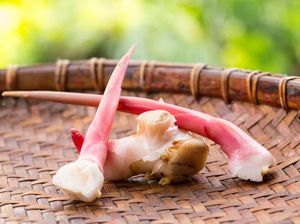 7 Manfaat Lengkuas untuk Menyembuhkan Penyakit