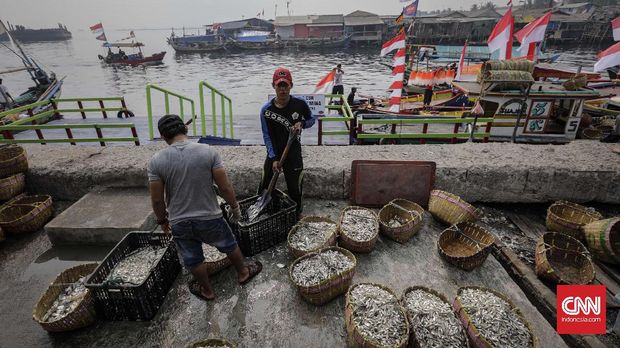 Nelayan melakukan aktivitas bongkar muat dan penimbangan tangkapan ikan di dermaga Tempat Pelelangan Ikan (TPI) Cilincing. Jakarta, Selasa 15 Agustus 2017. CNN Indonesia/Adhi Wicaksono.