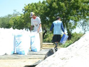 Aturan Impor Garam Terbit Hari Ini