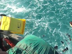 Ulah Petugas Kapal Buang Sampah dan Ironi Program Laut RI Bersih Ulah Petugas Kapal Buang Sampah dan Ironi Program Laut RI Bersih