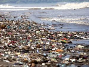 Kasihan Bumi, Punya Sampah Hampir Seluas Indonesia