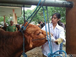 Hewan Kurban di Kabupaten Blitar Ditemukan Indikasi Parasit Darah