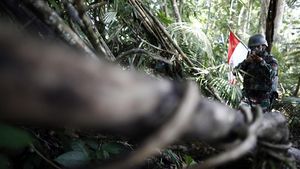 Foto: Ketika Tentara Indonesia dan Malaysia Patroli Bersama