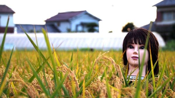 Foto: Saat Manekin Jadi Orang-orangan Sawah