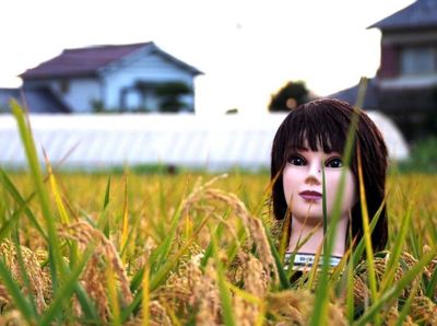 Foto: Saat Manekin Jadi Orang-orangan Sawah