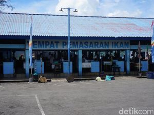 Agar Bisa Ekspor, Industri Ikan Ternate Butuh Kulkas Raksasa