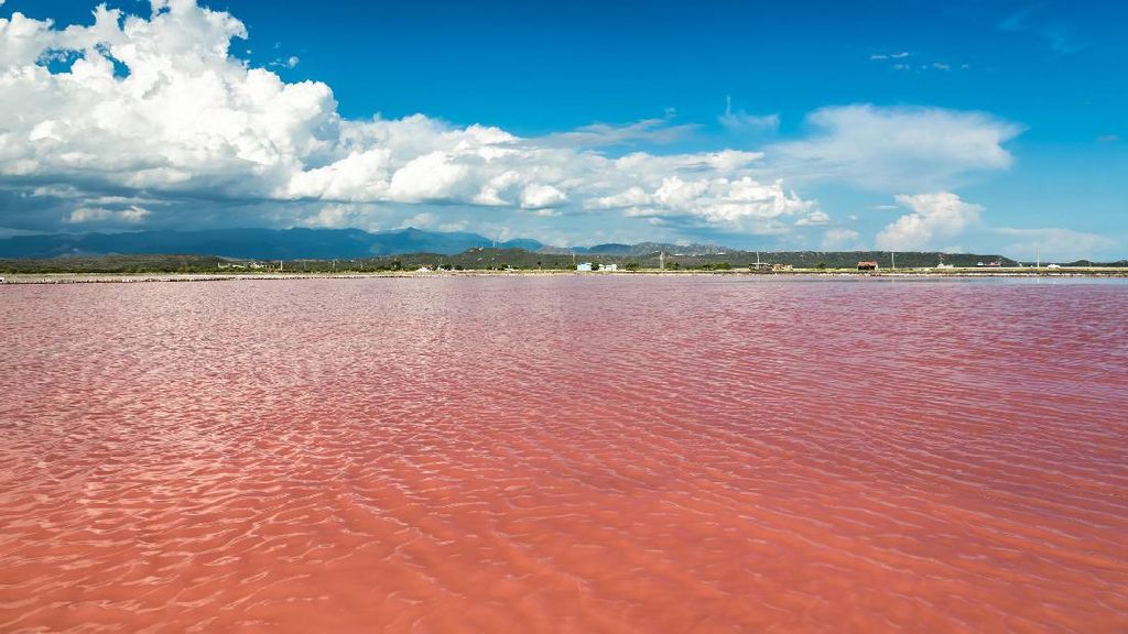 Pernah Lihat Danau Pink Ini?