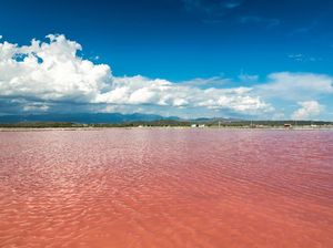Pernah Lihat Danau Pink Ini?