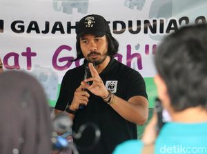 Chicco Jerikho Ungkap Kecintaannya Terhadap Gajah Sejak Kecil