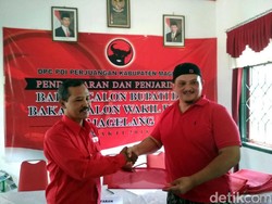 Aktor Kawakan Clift Sangra Daftar Cawabup Magelang di PDIP