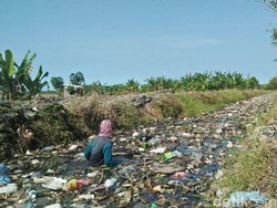 Sampah-sampah Menumpuk di Sungai Dikeluhkan Petani Sidoarjo