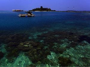 Tidung Festival 2017 Siapkan Kegiatan Seru di Akhir Pekan Ini