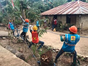 Targetkan Elektrifikasi 100%, Ini Strategi PLN Terangi Daerah 3T