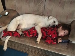 Kisah Anak dengan Autisme yang Tidak Bisa Tidur Tanpa Anjingnya