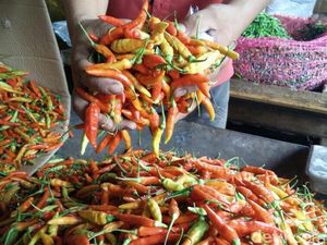 Foto: Ibu-ibu, Harga Cabai Turun Lho