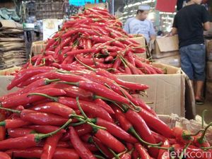 Kementan Yakin Stok dan Harga Cabai Stabil Jelang Natal dan Tahun Baru