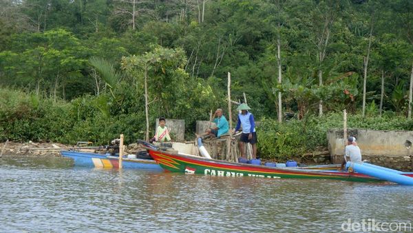 Potret Desa Wisata Seru di Cilacap: Kampung Laut