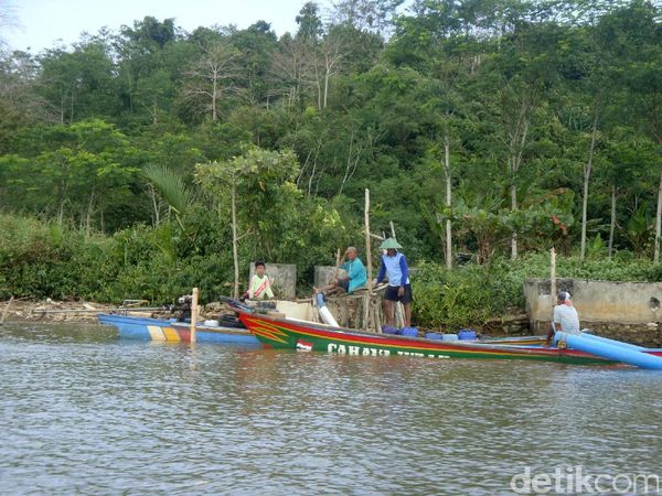 Potret Desa Wisata Seru di Cilacap: Kampung Laut