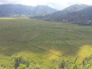 Sudah ke Sini Belum, Sawah Berbentuk Jaring Laba-laba di Flores