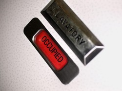 Petugas Kebersihan Temukan Janin di Toilet Pesawat Maskapai Afsel