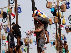 Siapa Sangka, Lomba 17-an Seperti Panjat Pinang Banyak Manfaatnya