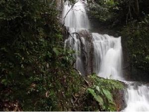 Kemenpar Dukung Festival Kebudayaan Berbasis Masyarakat