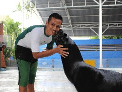 Ancol Ramaikan HUT RI ke-72 dengan Diskon Besar-Besaran