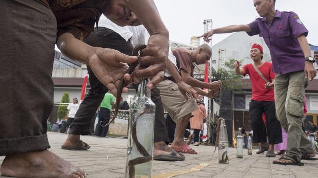 Lomba Hari Kemerdekaan Pasien panti rehabilitasi orang dengan gangguan jiwa Galuh berlomba memasukkan belut ke dalam botol di Bekasi, Jawa Barat, Kamis (17/8). Kegiatan tersebut diselenggarakan dalam rangka memeriahkan HUT ke-72 Kemerdekaan RI. ANTARA FOTO/Paramayuda/kye/17