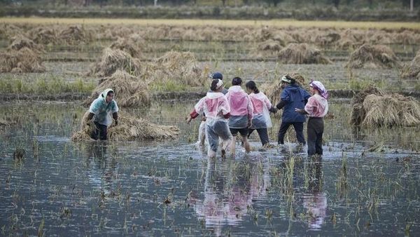 Foto: Kehidupan Sesungguhnya Korea Utara