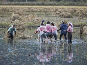 Foto: Kehidupan Sesungguhnya Korea Utara
