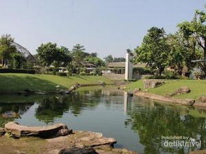 Tempat Asyik Untuk Bird Watching di Jakarta