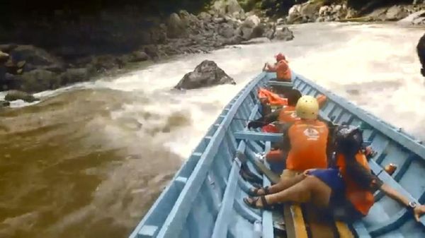 Bertaruh Nyawa Demi Akses Internet di Daerah Pelosok