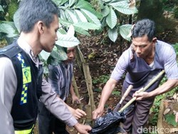 Petik Nangka, Warga Sukabumi Tewas Tersengat Listrik