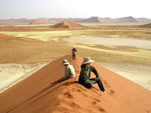 WIKA Incar Proyek Bandara hingga Rel Kereta di Namibia