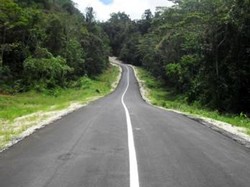 Trans Papua Tekan Harga Semen dari Rp 2 Juta Jadi Rp 500 Ribu/Sak