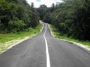 Trans Papua Tekan Harga Semen dari Rp 2 Juta Jadi Rp 500 Ribu/Sak Trans Papua Tekan Harga Semen dari Rp 2 Juta Jadi Rp 500 Ribu/Sak