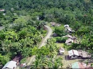 Senangnya Warga Desa Ampas di Papua Tak Lagi Gelap Gulita