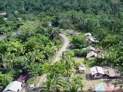 Senangnya Warga Desa Ampas di Papua Tak Lagi Gelap Gulita