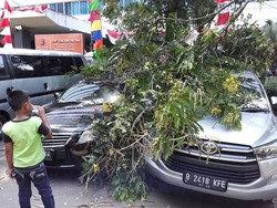Dua Mobil Rusak Tertimpa Pohon di Kuningan