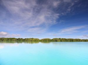 Jubir Luhut soal Kepulauan Widi: Swasta Hanya Bisa Kelola, Bukan Memiliki