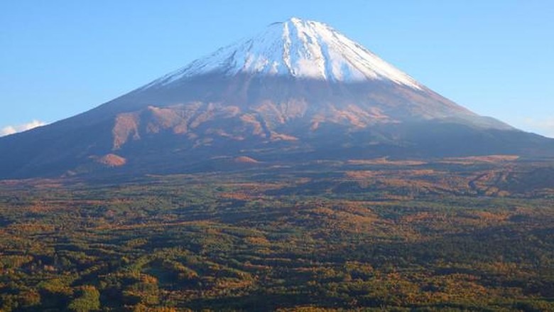 Foto: (Thinkstock) Foto: (Thinkstock)