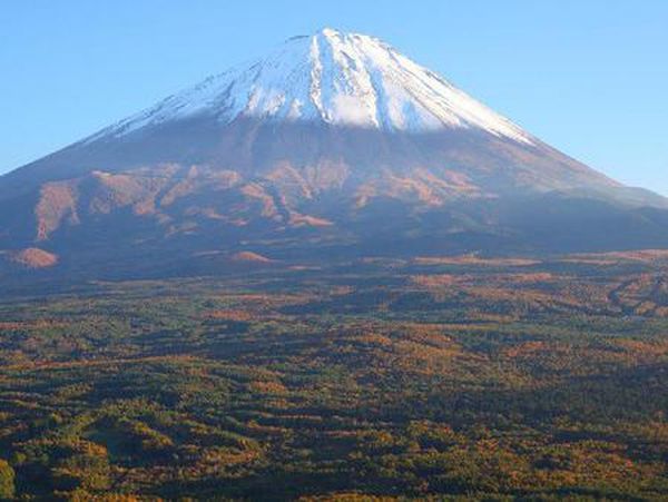 Foto: Hutan Bunuh Diri di Jepang