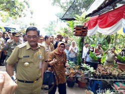 Djarot Ingin Pengidap Gangguan Jiwa Ringan Kerja di Balai Kota