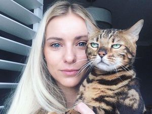 Ekspresi Kocak Ketika Kucing Enggan Diajak Selfie