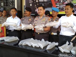 Penyelundupan 30 Ribu Benur Dibongkar Polres Trenggalek