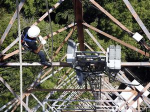 Palapa Ring Paket Barat Rampung Februari 2018