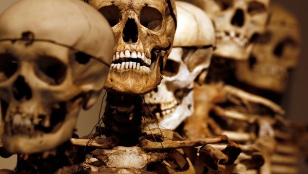 Foto: Koleksi Tengkorak dan Potongan Kepala Penjahat