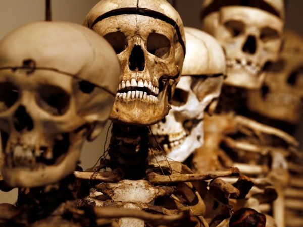 Foto: Koleksi Tengkorak dan Potongan Kepala Penjahat